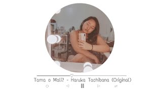 Tama o Mali? - Haruka Tachibana (Original Song)