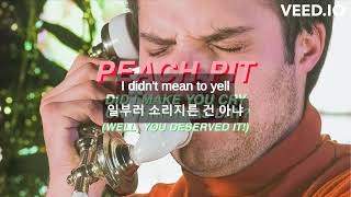 Peach Pit - Did I Make You Cry On Christmas Day? (Sufjan Stevens Cover) lyrics/가사