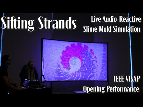 Sifting Strands - Live at IEEE VISAP
