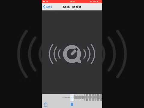 Geko - Realist #leaked