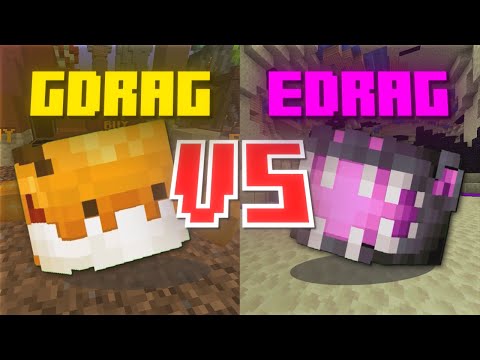 Golden Dragon VS Ender Dragon The Ultimate Comparison (Hypixel Skyblock)