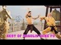 Wu Tang Collection - Best of Shaolin Kung Fu