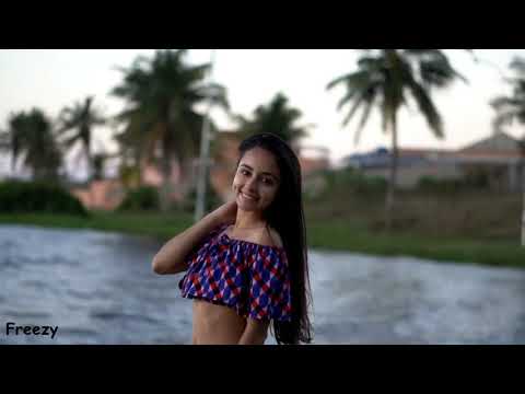 Dj Sebi si Ciprian Balint - Cand venim noi facem show [Bass Boosted]