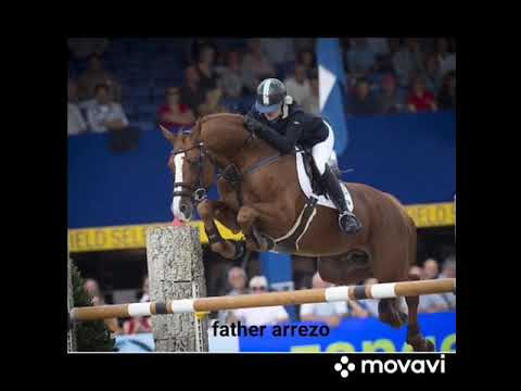 A Million Dollar van ten Bos Z: AREZZO VDL x TENOR MANCIAIS