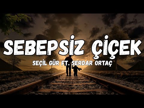 (Lyrics) Seçil gür ft. Serdar Ortaç - sebepsiz çiçek sözleri