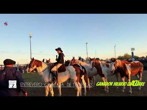 Programa N°12 Tramo 1 Festival y Jineteada Reavivando Tradiciones 2026 (Gdor Mansilla ) 