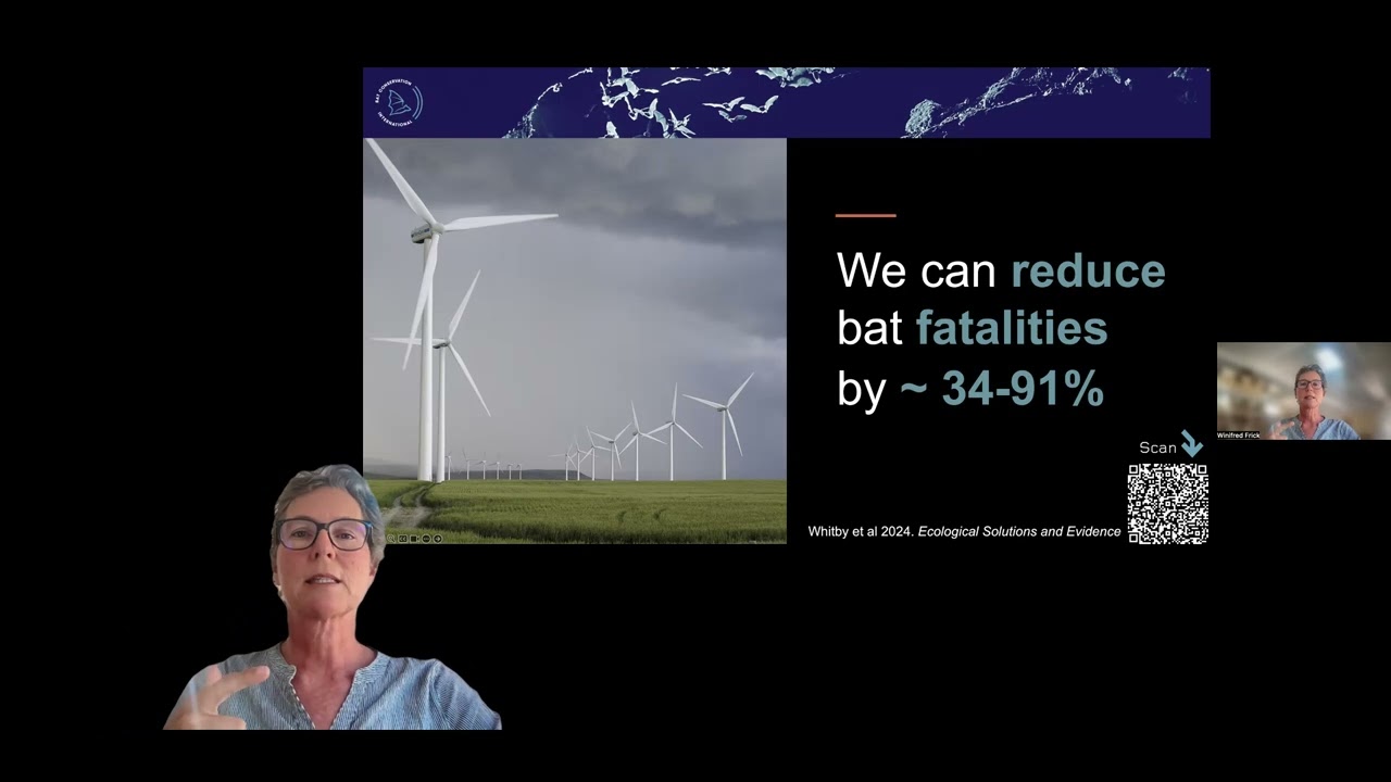 Webinar: Reducing the risk of wind energy to bats