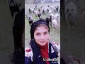 Girl Whistling