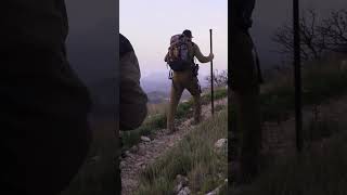 Auf Mähnenspringer in Alicante 🇪🇸 von ⁨@hunterbrothersofficial⁩