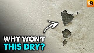 The Real Reason Damp Proofing Doesn't Work