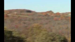 She Moved Through the Fair