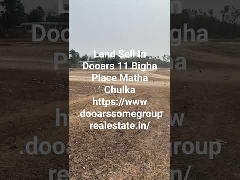  11 Bigha Residential Plot for Sale in Malbazar, Jalpaiguri