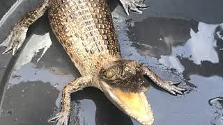 ROAD TO MALUKU VLOG#4