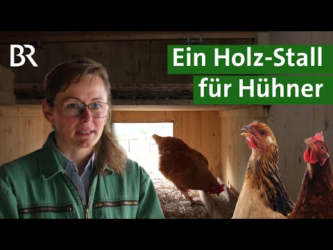 Ställe aus Holz: Besseres Klima, mehr Tierwohl, aber mehr Keime? | Tierhaltung | Unser Land | BR