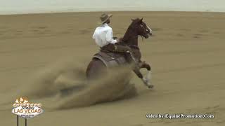 Opus Cat Olena ridden by Matt J  Koch   2019 NRCHA Stallion Stakes Rein Work, Open