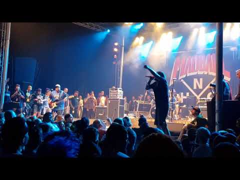 Madball down by law Ieperfest 2017