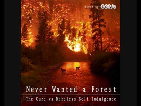 Never Wanted A Forest