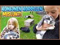 KONiJNEN KOPPELEN LOOPT VERKEERD … RiKKiE MOET WEG! | Bellinga Vlog #2661