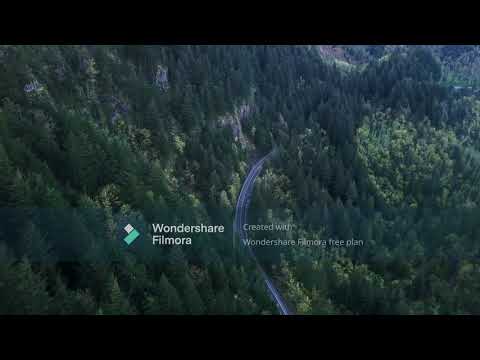 Bad con Nicky Drivers License  Remix SLOWED  LUJAVO ft LCDMC  CANCIÓN COMPLETA