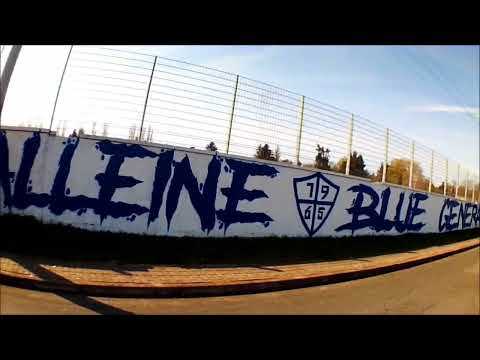 1.FC Magdeburg "Du bist niemals alleine" 🔵⚪️