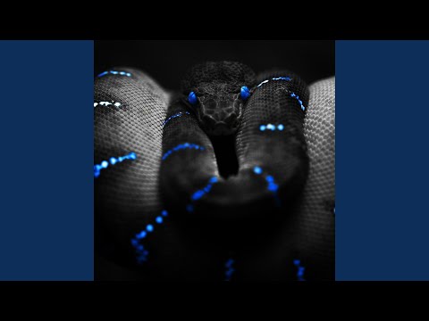 Takin Chances (feat. T.ofordawin)