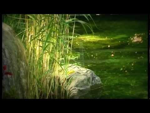 Hildegard v. Bingen, Tag der offen Tür bei Maria Adam ( Maturaprojekt der HAK 1 Wels)