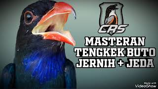 Download lagu MASTERAN JERNIH TENGKEK BUTO speed panjang JEDA. Mudah ditiru suara HD. mp3 Download lagu MASTERAN JERNIH TENGKEK BUTO speed panjang JEDA. Mudah ditiru suara HD. mp3