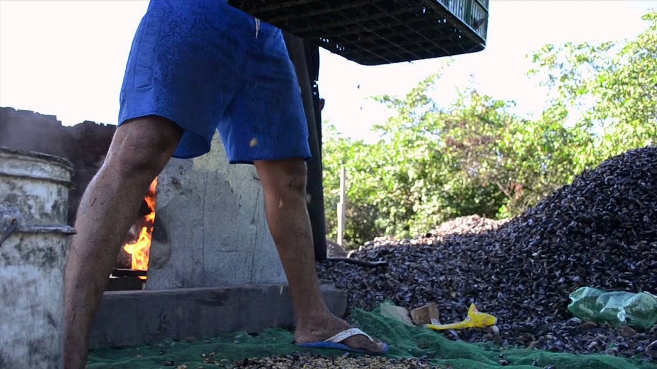 A Ilha de deus (Recife) "Descobrindo o Sururu"