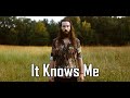 Avi Kaplan - It knows me  - With Lyrics