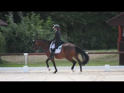 Starší junioři 3. kolo – vJ (2022) – MČR v drezuře Brno, 17. 8. 2025