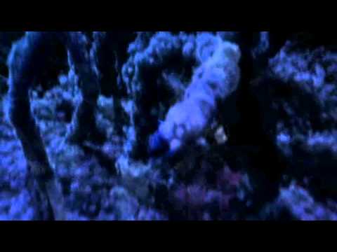 Yugioh 5D`s Tag Force 5 Monster Animation Part 2 [HD]