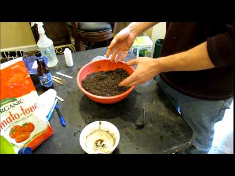 YouTube video about: How to use neem cake for potted plants?