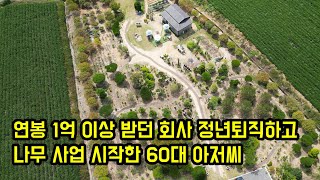 연봉 1억 이상 받던 회사 정년퇴직하고 나무 사업 시작한 60대 아저씨 (나무 한그루에 50,000,000 …