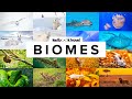 11 Types of Biomes and Their Animals (with Maps)