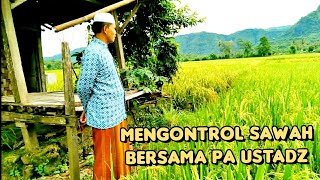 Download lagu Menikmati suara kodok di sawah sambil ngobrol-ngobrol. Bginilah kehidupan di desa mp3 Download lagu Menikmati suara kodok di sawah sambil ngobrol-ngobrol. Bginilah kehidupan di desa mp3
