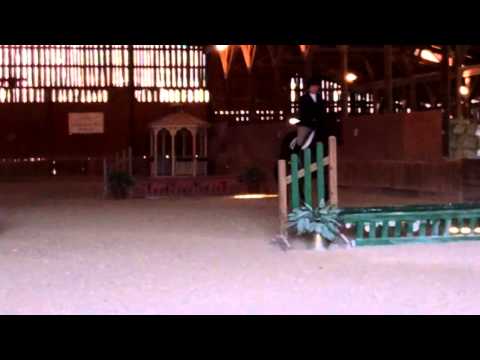 Kaduk Sherpa's Win in Novice Fences - 3/9/14 thumbnail