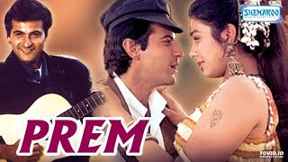 Meri Chudiyaan Baje Chhan Chhan | Prem (1995) | 90&#39;s Bollywood Songs | Alka Yagnik Nalin Dave