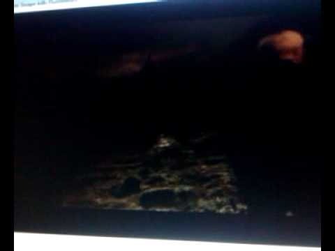 Snape he trusted you fight back