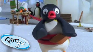 Pingu Gets Carried Away!  Pingu Official  1 Hour  