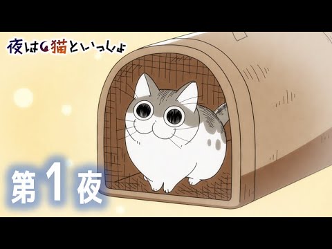 アニメ『夜は猫といっしょ』 第1夜 「ネコが家に来た日」