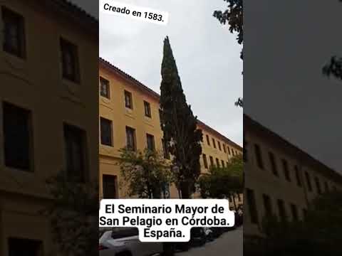 SEMINARIO MAYOR DE SAN PELAGIO EN CÓRDOBA: CREADO EN 1583. España.