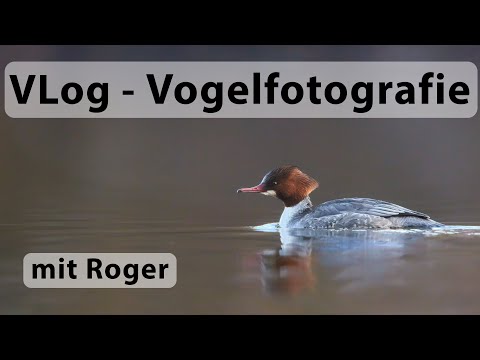 VLOG - Vogelfotografie mit Roger