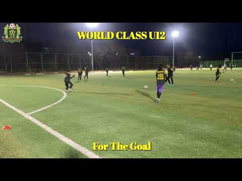 WORLD CLASS FTC U12 / For The Goal