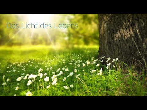 Videovorschau
