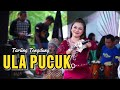 ULA PUCUK DEVI ADINDA CITRA NADA LIVE DESA KEMURANG WETAN KEC TANJUNG BREBES