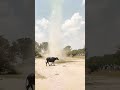 Bawandar Chakrawati Wind Blowing Natural Power