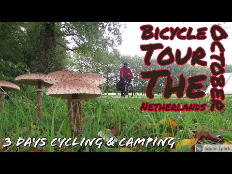 Bicycle Tour in The Netherlands, Oktober 2021