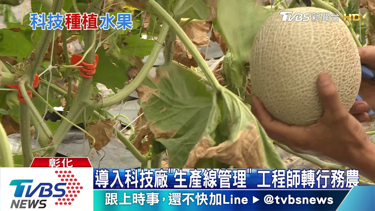 人生轉折從頭拚! 科技人棄百萬年薪種「科技瓜」