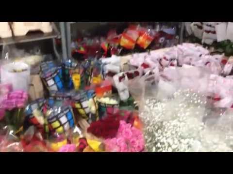 download lagu mp3 mp4 Cicek Gonder Ankara, download lagu Cicek Gonder Ankara gratis, unduh video klip Cicek Gonder Ankara