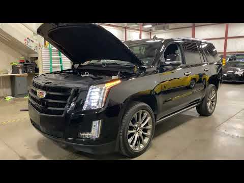 2020 Cadillac Escalade (CC-1602296) for sale in Grand Rapids, Michigan